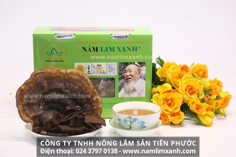 Cách làm nấm lim xanh ngâm 45 độ với sâm