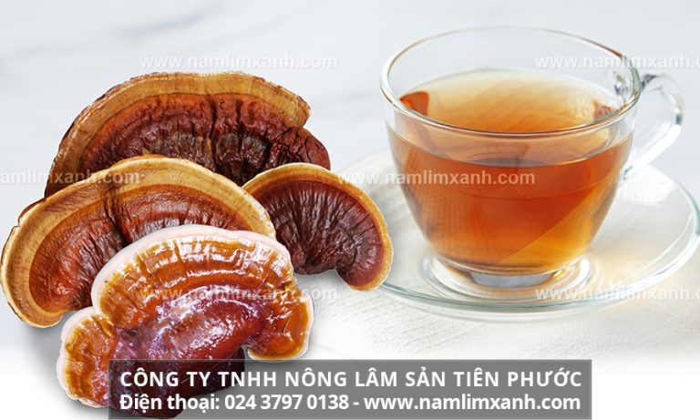 Cách nấu lim xanh Quảng Nam trong giúp lành bệnh