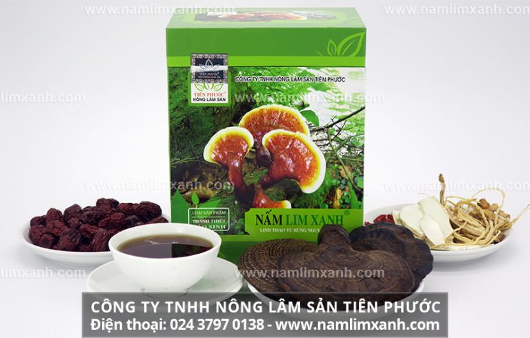 Cách ngâm 45 độ nấm lim xanh loại bỏ độc tố