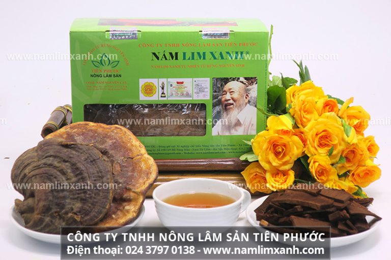 Cách nhận biết hình ảnh nấm lim xanh thật – giả