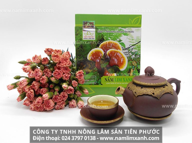 Cách sử dụng nấm gỗ lim xanh