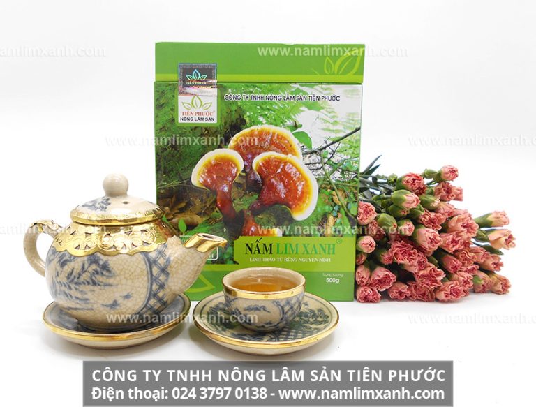 Cách sử dụng nấm lim ngâm 45 độ và sắc chế phẩm