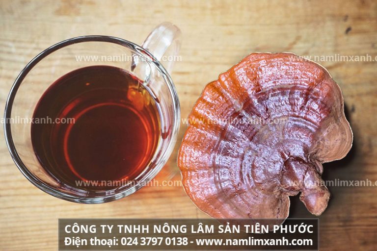 Cách sử dụng nấm lim xanh đúng chuẩn