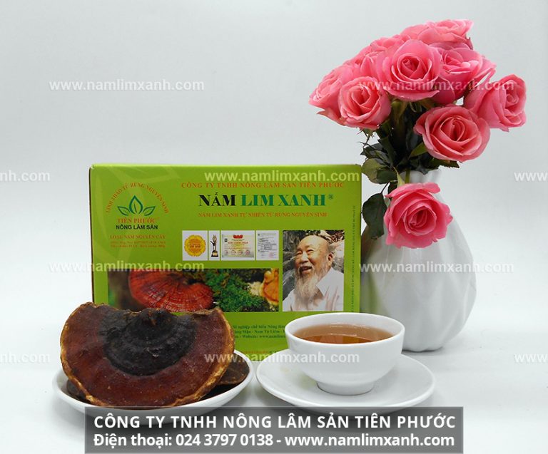 Cách uống nước nấm lim xanh