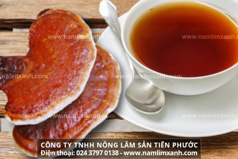 Cách uống nước nấm lim xanh chính xác nhất