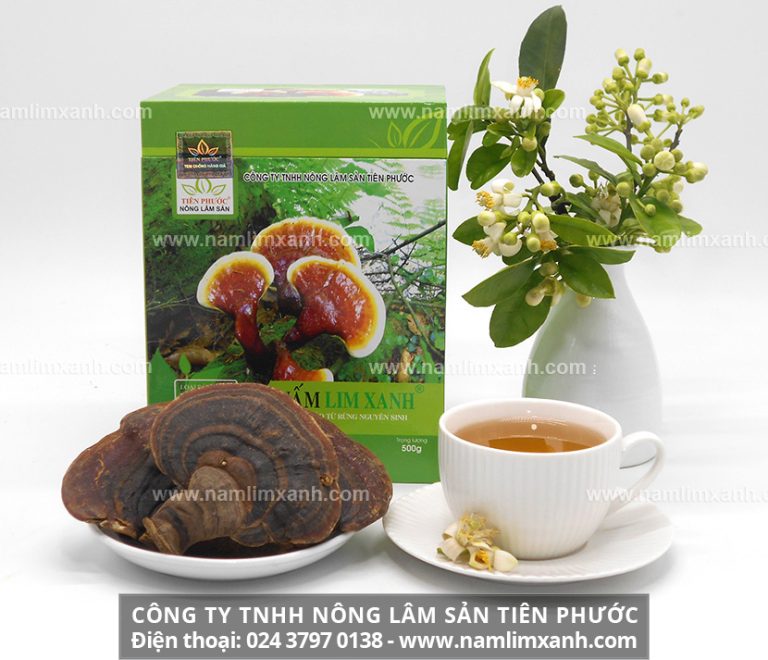 Cách uống nước nấm lim xanh chữa bệnh hiệu quả