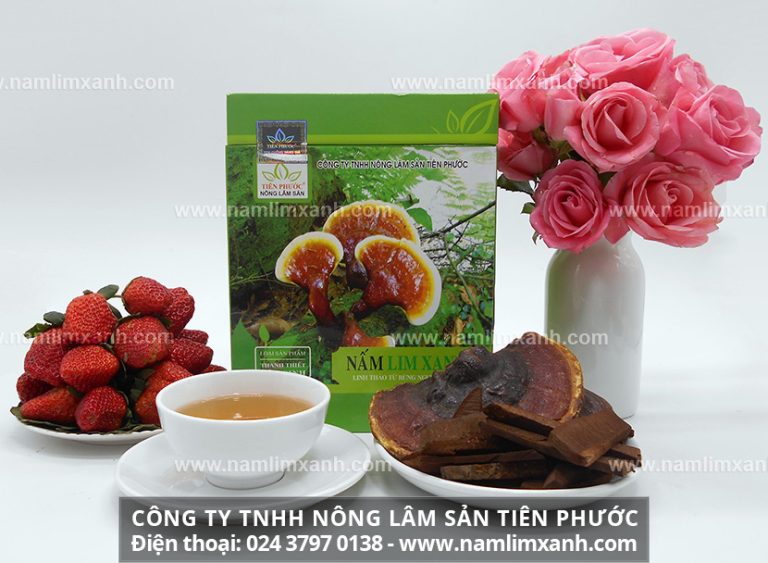 Cây lim xanh mà hình ảnh nấm lim xanh rất đa dạng, kích thích to nhỏ, màu sắc khác nhau