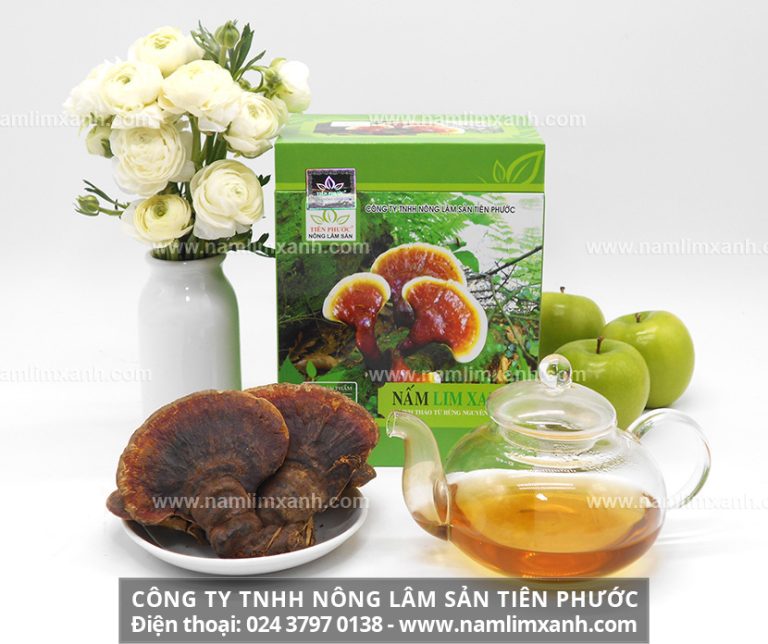 Chi tiết công dụng và bảng giá nấm lim xanh nguyên chất