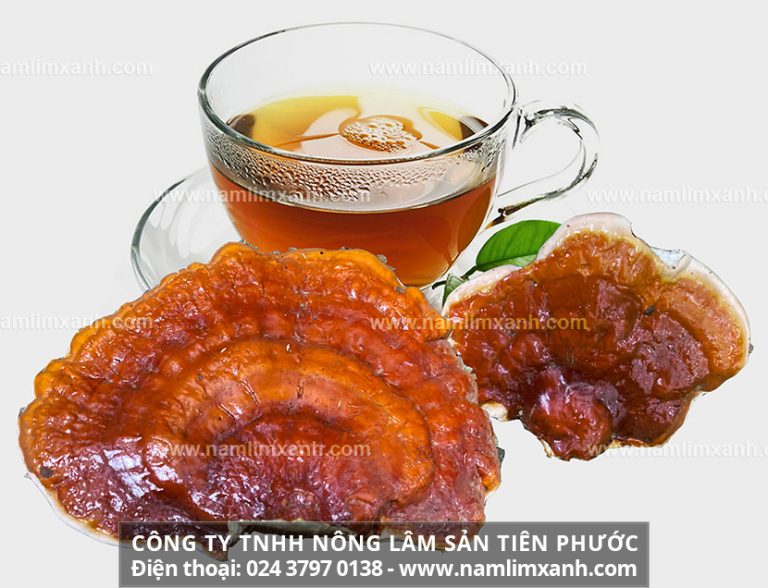 Có hay không tác dụng phụ của cây nấm lim xanh