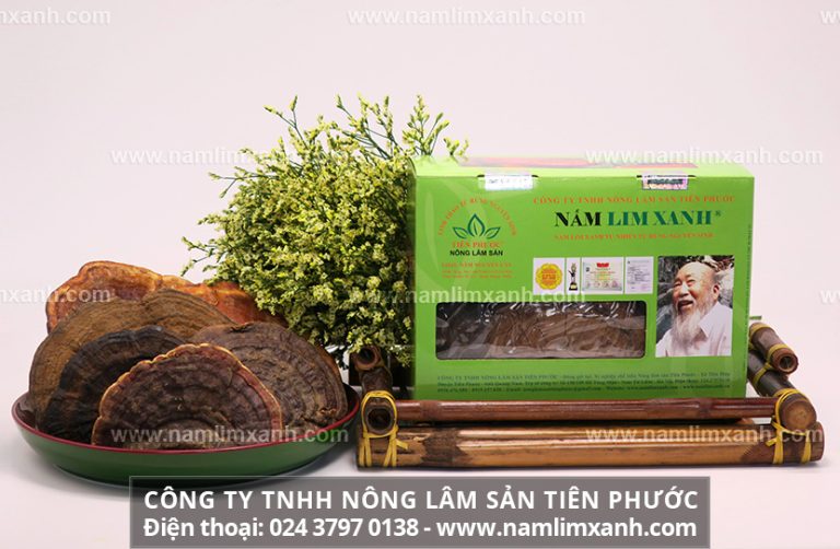 Công dụng của 45 độ nấm lim xanh