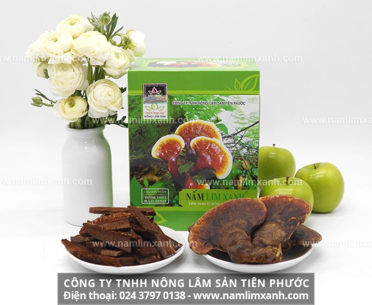 Công dụng của nấm lim xanh