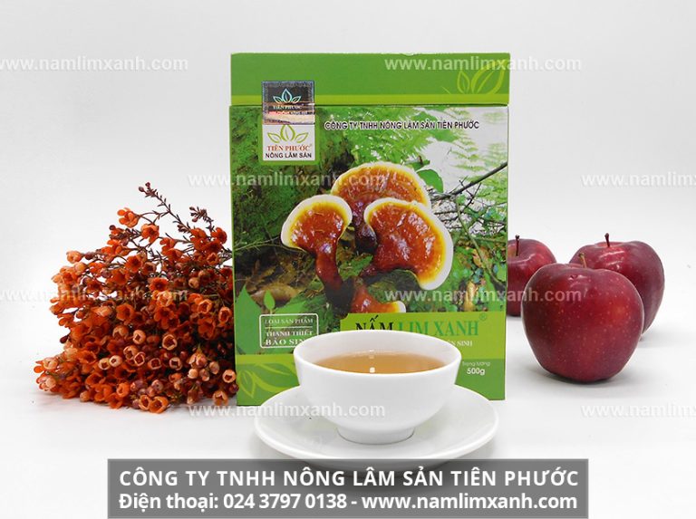 Công dụng của nấm lim xanh Tiên Phước với người bệnh gan