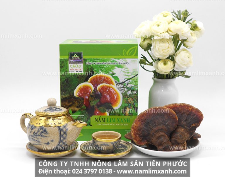 Công dụng của nấm lim xanh tự nhiên