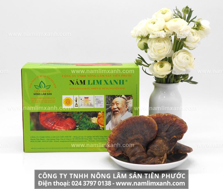 Công dụng làm đẹp của nấm lim xanh Đà Nẵng