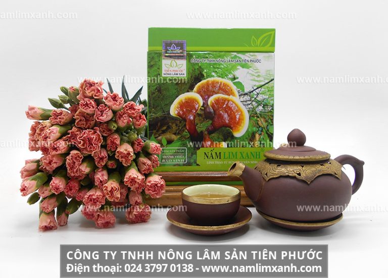 Công ty nấm lim xanh Tiên Phước, Quảng Nam được người dùng tin cậy!