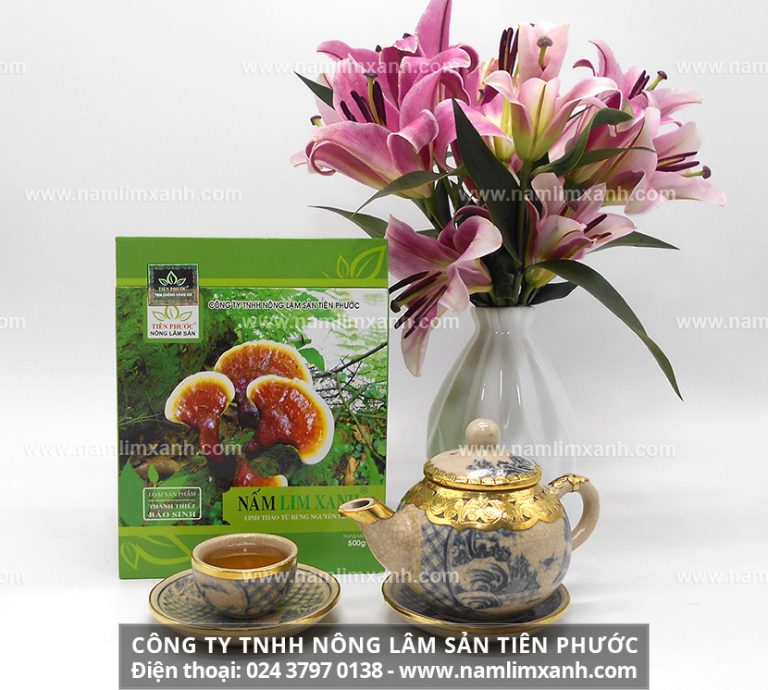 Đại lý bán nấm lim xanh tại Hà Nội