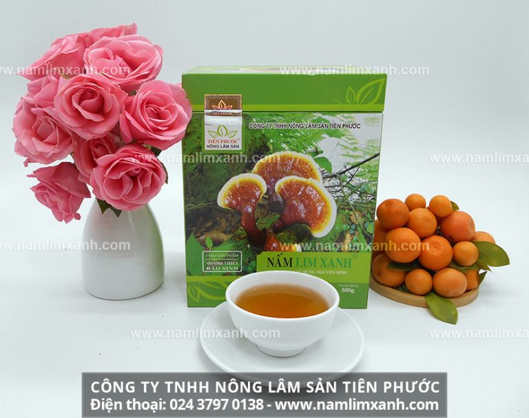 Địa chỉ mua nấm lim xanh Hồ Chí Minh uy tín