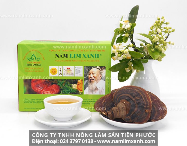 Địa chỉ mua nấm lim xanh của công ty TNHH Nấm lim xanh Việt Nam