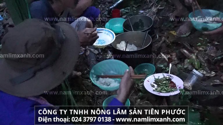 Giá bán nấm hiện nay tại một số công ty chế biến nấm