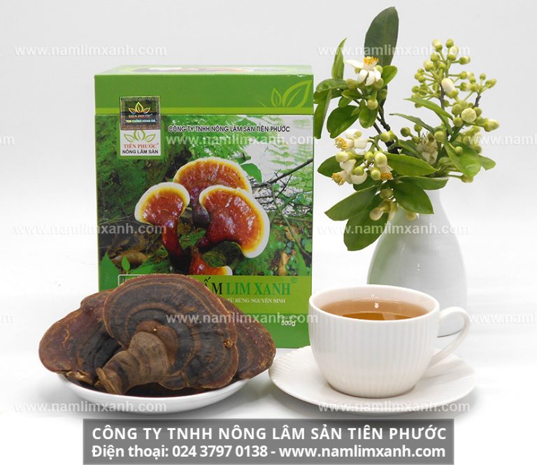 Giá nấm lim xanh của công ty Tiên Phước