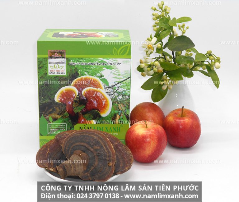 Giá nấm lim xanh là cách để phân biệt thật – giả