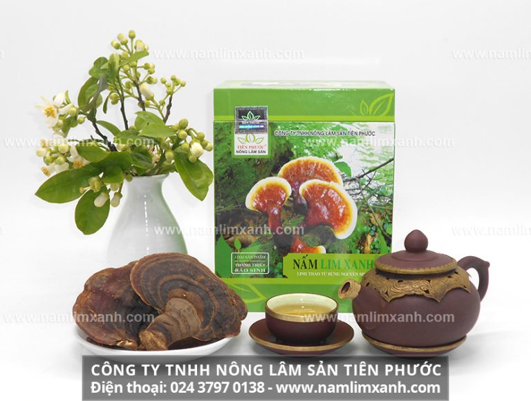 Hỗn loạn giá bán nấm lim xanh và giá mua nấm lim xanh chính hãng