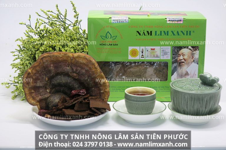 Hỗn loạn giá nấm lim xanh trên thị trường và nơi bán nấm lim xanh chính hãng