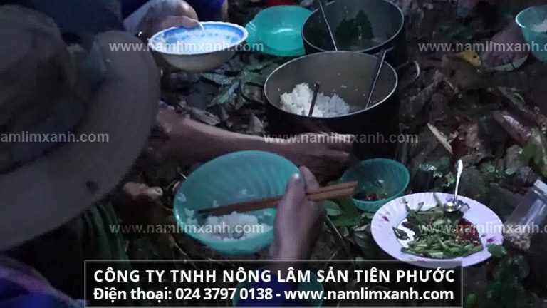 Một số lưu ý khi dùng nấm lim xanh