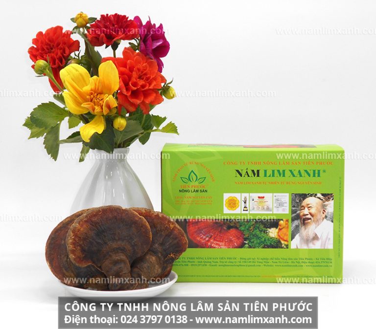 Mua nấm lim xanh ở đâu tốt nhất