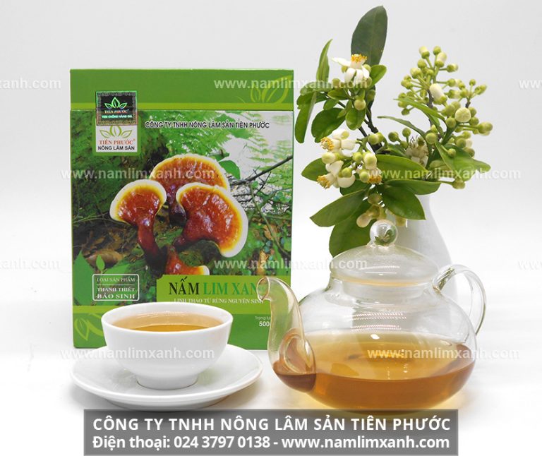 Nấm lim xanh Quảng Nam được đánh giá có chất lượng tốt