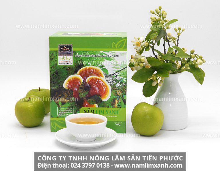 Nấm lim xanh có độc hay không có độc