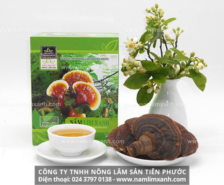 Nấm lim xanh giá bao nhiêu một kg