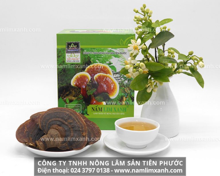 Nấm lim xanh giúp tăng cường sinh lực ở nam giới