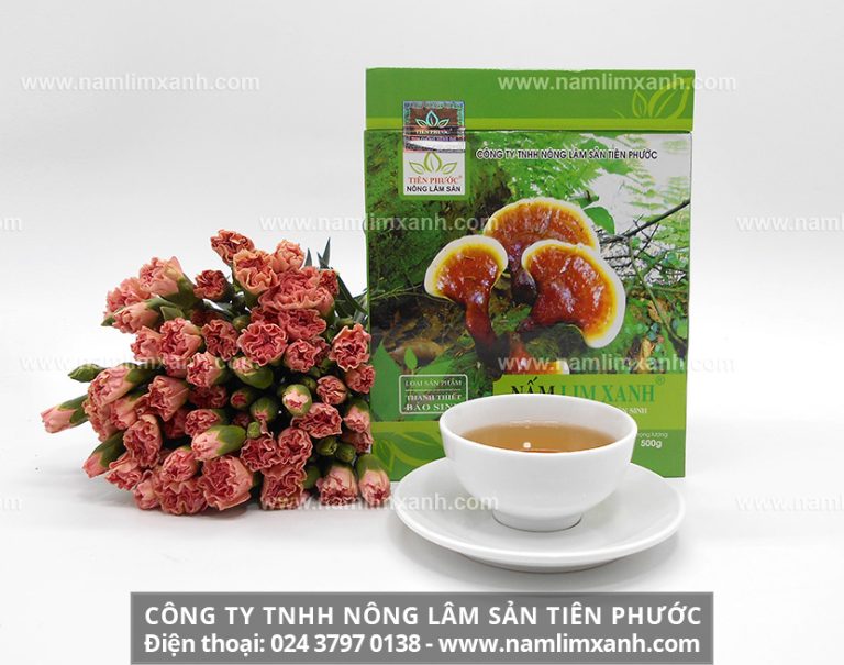 Nấm lim xanh là tín hiệu vui cho những người mắc bệnh ung thư