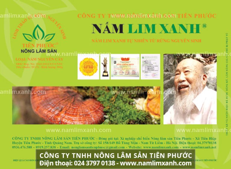 Nấm lim xanh ngâm 45 độ uống có tác dụng gì hiệu quả