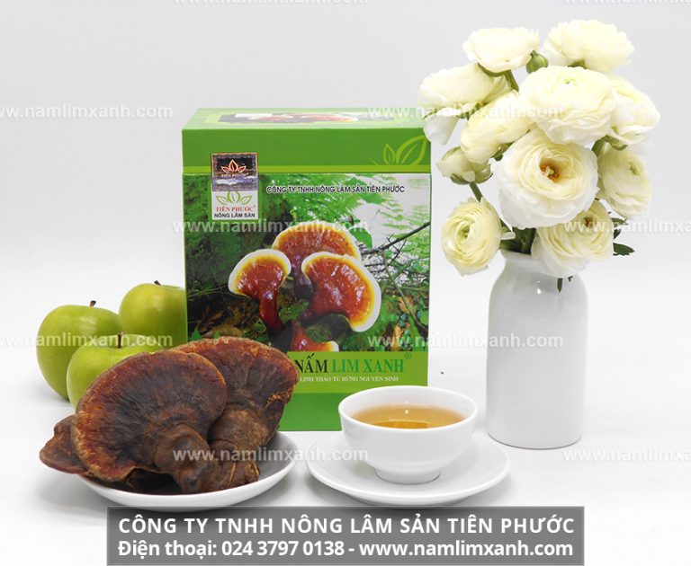 Tác dụng 45 độ ngâm nấm lim xanh đem lại cho sức khỏe con người