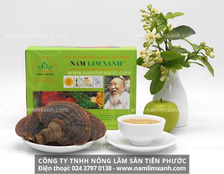 Thị trường giá nấm lim xanh Tiên Phước – Thật giả lẫn lộn và nơi bán nấm lim xanh chất lượng