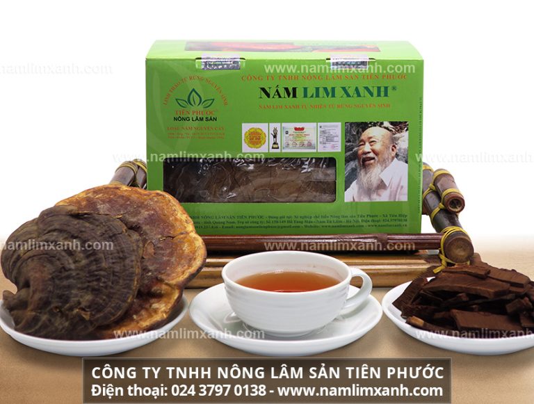 Thị trường mua bán nấm liên xanh phức tạp và cách chọn nấm lim xanh chuẩn rừng