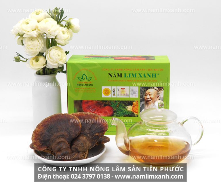 Thực trạng bán nấm lim xanh Quảng Nam, Phú Diễn, Từ Liêm, Hà Nội