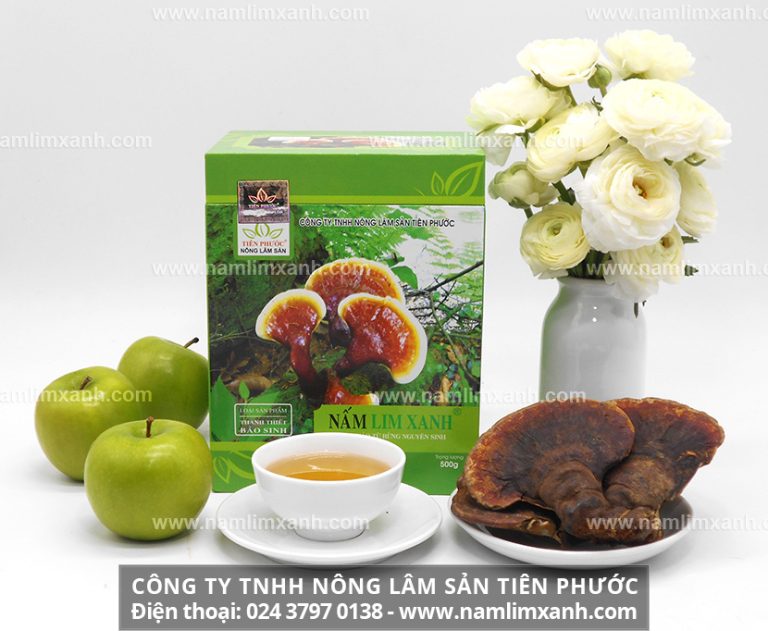 Vị đắng của nấm lim xanh do đâu mà có và cách uông nước nấm lim hiệu quả