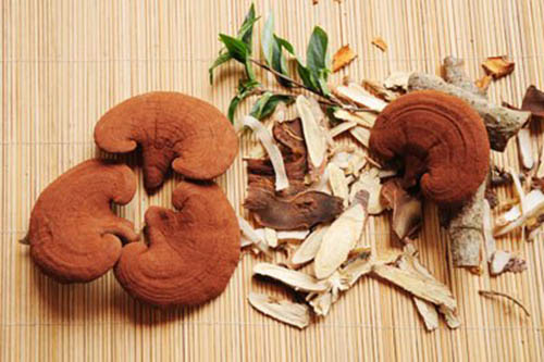 Cách dùng nấm lim