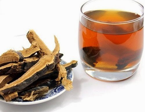 cách uống nấm lim xanh giúp lành bệnh