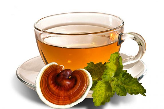cách uống nấm lim xanh chính xác