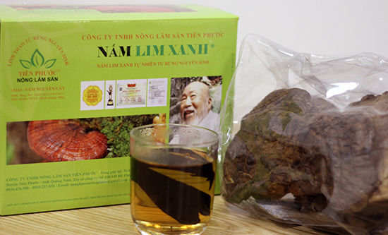Nấm lim xanh Nguyên cây được chế biến từ nấm lim xanh rừng tự nhiên
