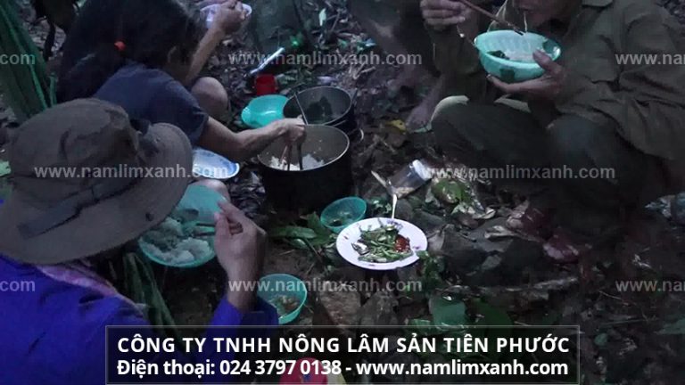 Công ty TNHH Nấm lim xanh Việt Nam là tổng đại lý phân phối toàn quốc sản phẩm nấm lim xanh Tiên Phước chế biến theo phương pháp gia truyền của Công ty TNHH Nông lâm sản Tiên Phước.