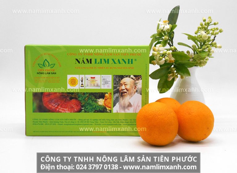 Đại lý bán nấm lim xanh Tiên Phước tại An Giang