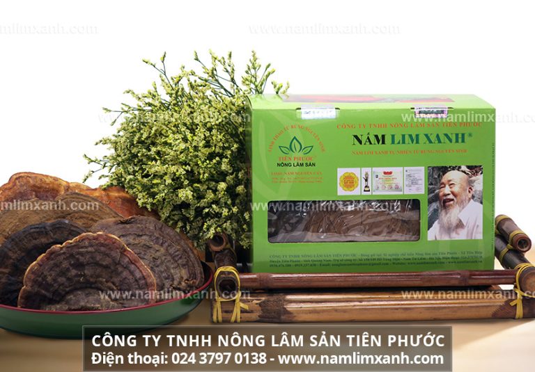 Đại lý bán nấm lim xanh tại Huế cung cấp sản phẩm nấm lim xanh rừng tự nhiên