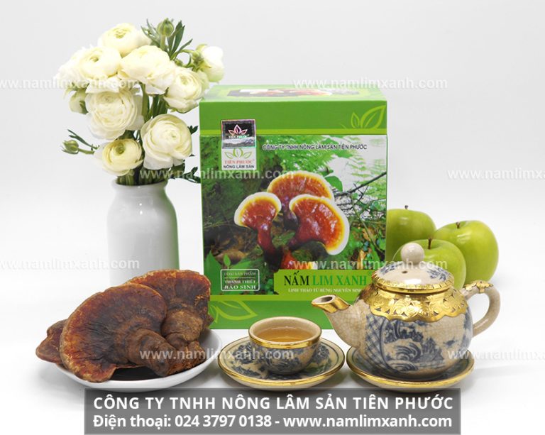 Đại lý bán nấm lim xanh tại Quảng Ninh cung cấp sản phẩm nấm lim xanh rừng tự nhiên