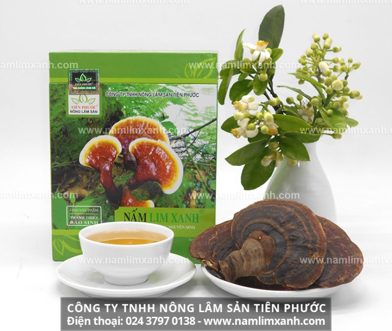 Địa chỉ bán nấm lim xanh Tiên Phước chính hãng tại Nam Định