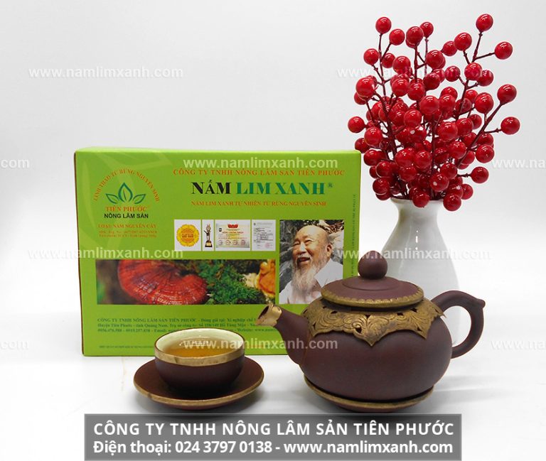 Địa chỉ đại lý bán nấm lim xanh Tiên Phước ở Thanh Hóa